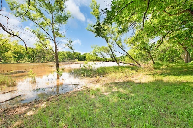 view of yard featuring a water view