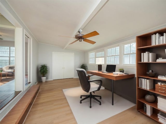 home office featuring vaulted ceiling with beams, ceiling fan, light wood-type flooring, and plenty of natural light