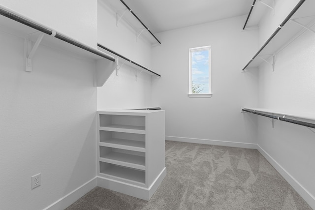 spacious closet with light carpet