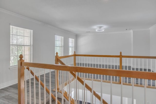 3917 Canyon Glen Cir, Austin, TX 78732 - hallway with crown molding, a healthy amount of sunlight, and hardwood / wood-style flooring