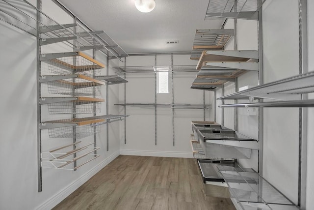3917 Canyon Glen Cir, Austin, TX 78732 - spacious closet with light hardwood / wood-style floors
