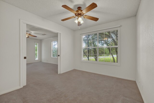 empty room with light colored carpet, a textured ceiling, and a wealth of natural light