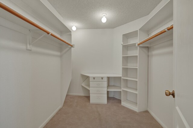 walk in closet with light colored carpet