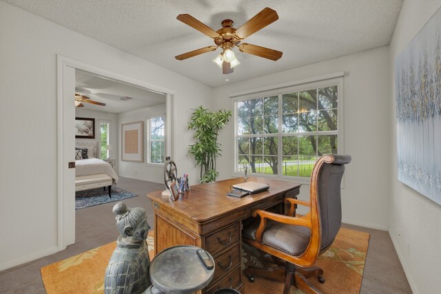 office with a textured ceiling, carpet floors, and ceiling fan