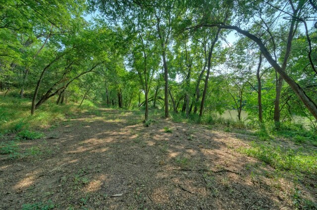 view of local wilderness