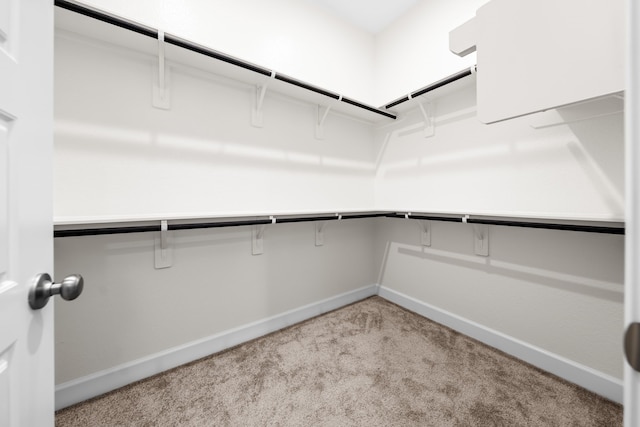 spacious closet with light colored carpet