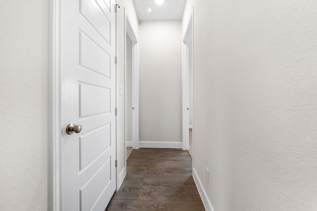 hallway featuring dark wood-type flooring