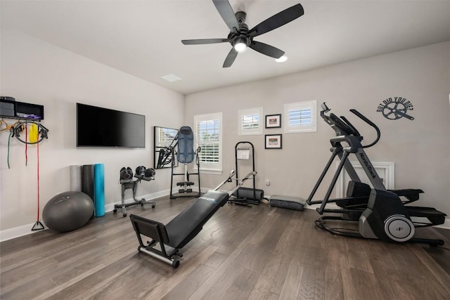 workout area featuring hardwood / wood-style flooring and ceiling fan