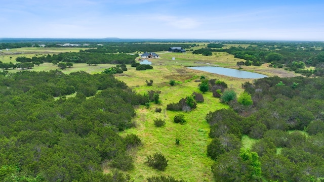 517 Red Yucca Ct, Liberty Hill, TX 78642 - photo 3