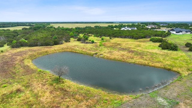 517 Red Yucca Ct, Liberty Hill, TX 78642 - photo 22
