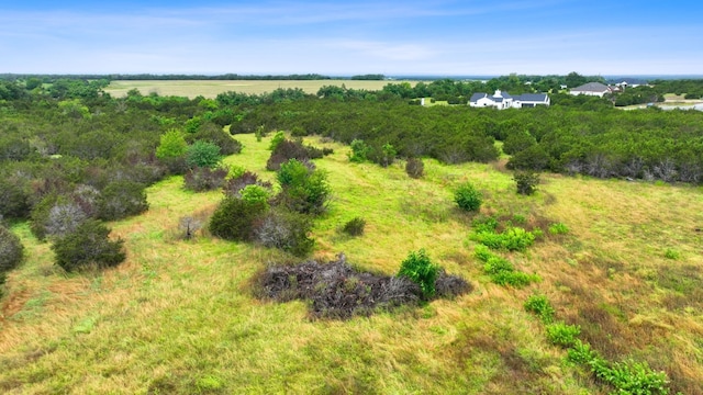 517 Red Yucca Ct, Liberty Hill, TX 78642 - photo 23