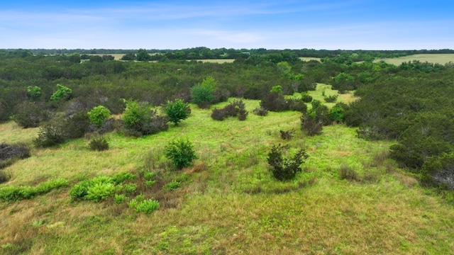 517 Red Yucca Ct, Liberty Hill, TX 78642 - photo 24