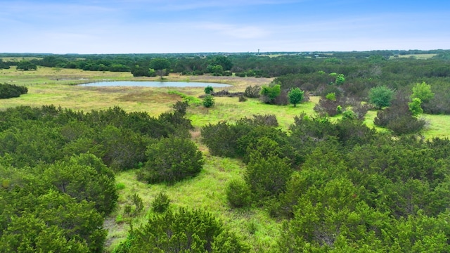 517 Red Yucca Ct, Liberty Hill, TX 78642 - photo 25
