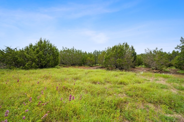 517 Red Yucca Ct, Liberty Hill, TX 78642 - photo 27