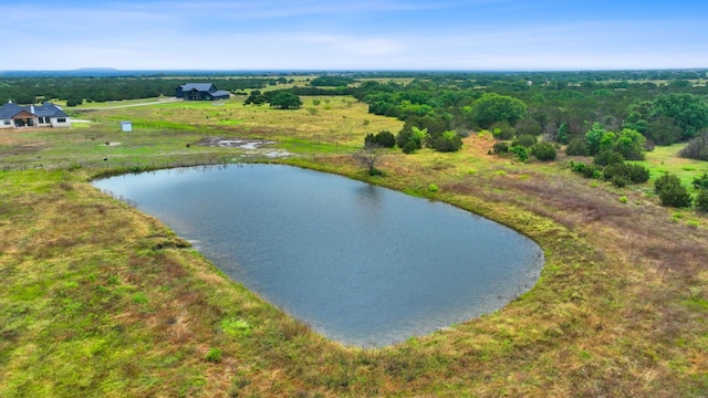 517 Red Yucca Ct, Liberty Hill, TX 78642 - photo 4