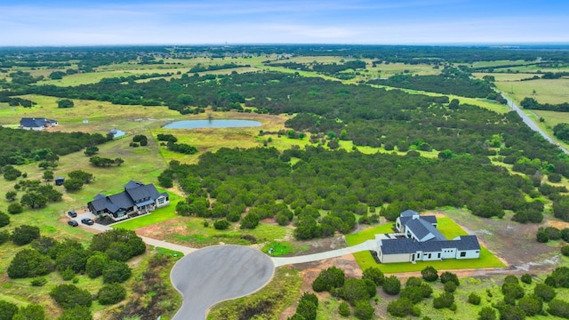 517 Red Yucca Ct, Liberty Hill, TX 78642 - photo 7