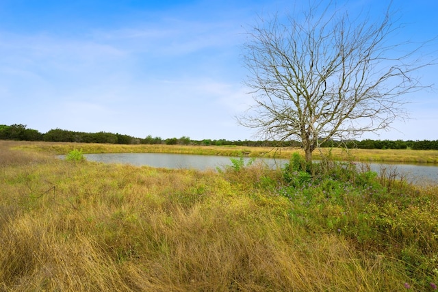 517 Red Yucca Ct, Liberty Hill, TX 78642 - photo 9