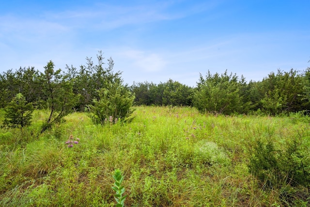 517 Red Yucca Ct, Liberty Hill, TX 78642 - photo 11