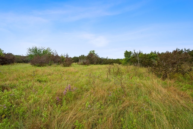 517 Red Yucca Ct, Liberty Hill, TX 78642 - photo 13