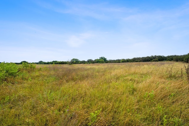 517 Red Yucca Ct, Liberty Hill, TX 78642 - photo 14