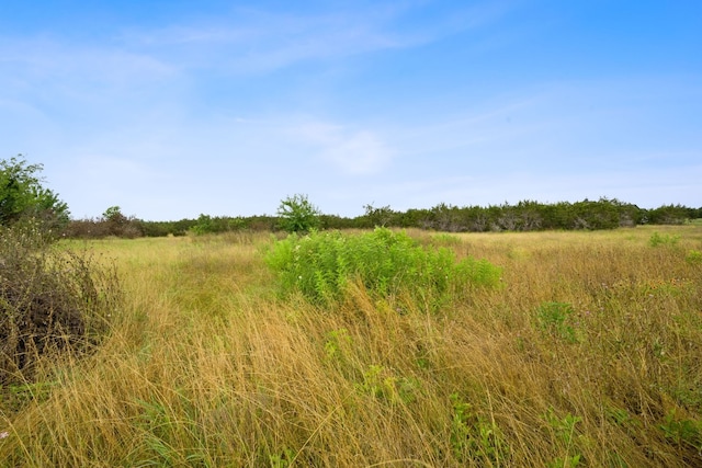 517 Red Yucca Ct, Liberty Hill, TX 78642 - photo 16