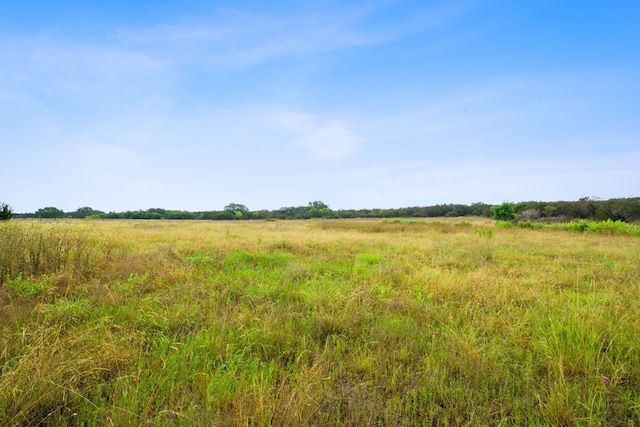 517 Red Yucca Ct, Liberty Hill, TX 78642 - photo 17