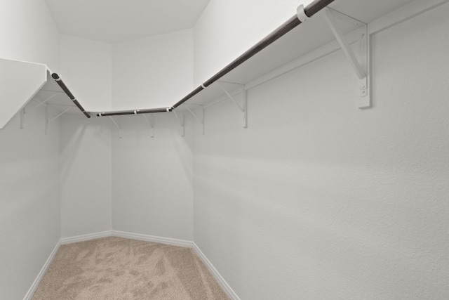 walk in closet with light carpet