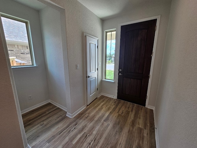 entrance foyer with wood-type flooring and a healthy amount of sunlight