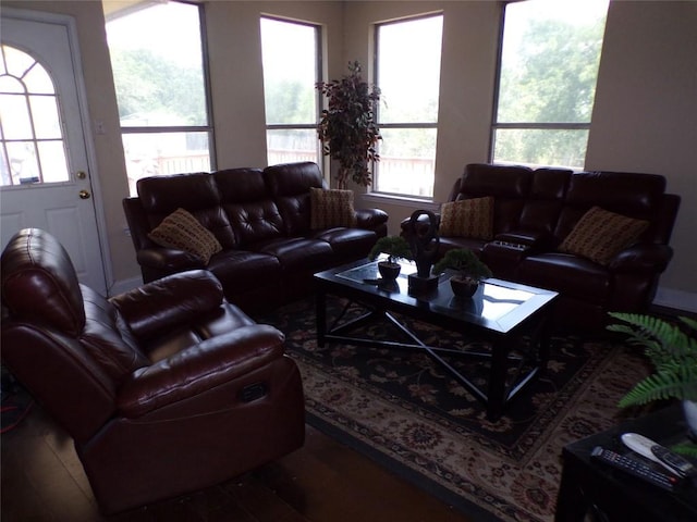 living room with hardwood / wood-style flooring