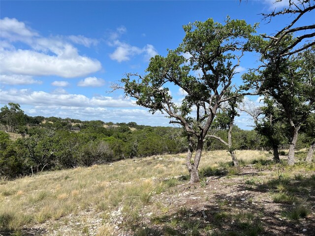 Listing photo 2 for TBD Springs Crossing, Junction TX 76849