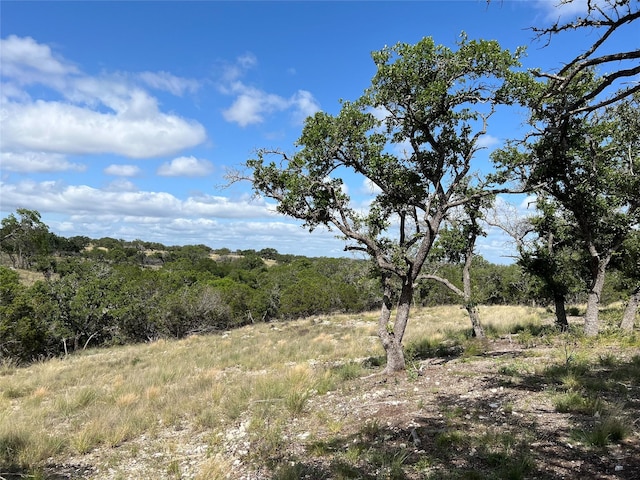 TBD Springs Crossing, Junction TX, 76849 land for sale