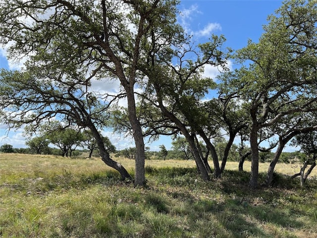 TBD Springs Crossing, Junction TX, 76849 land for sale