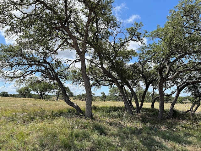 Listing photo 2 for TBD Springs Crossing, Junction TX 76849