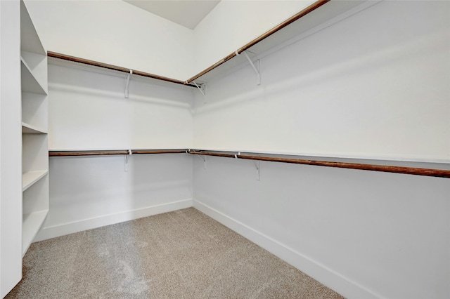 walk in closet with carpet