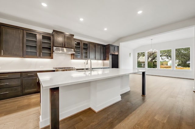 kitchen featuring a sink, light countertops, under cabinet range hood, and wood finished floors