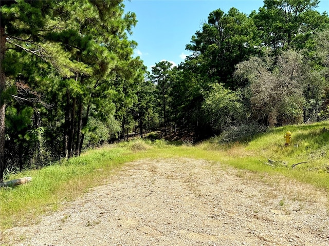 112,114,118 Kaimuki Court, Bastrop TX, 78602 land for sale