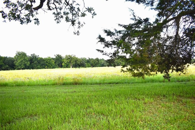 view of nature featuring a rural view