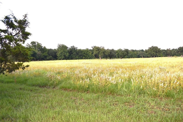 view of local wilderness with a rural view