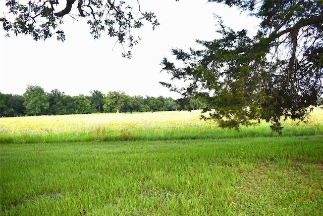 view of local wilderness with a rural view