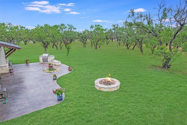 view of yard featuring a patio area and a fire pit