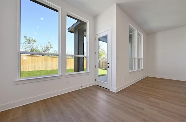 entryway featuring wood-type flooring