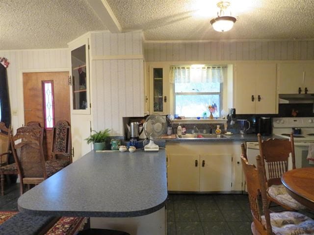 kitchen featuring dark tile patterned flooring, sink, a wealth of natural light, and a textured ceiling