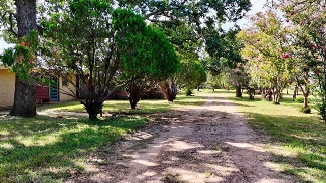 110 W Lakecrest Dr, Bluffton, TX 78607 - photo 5