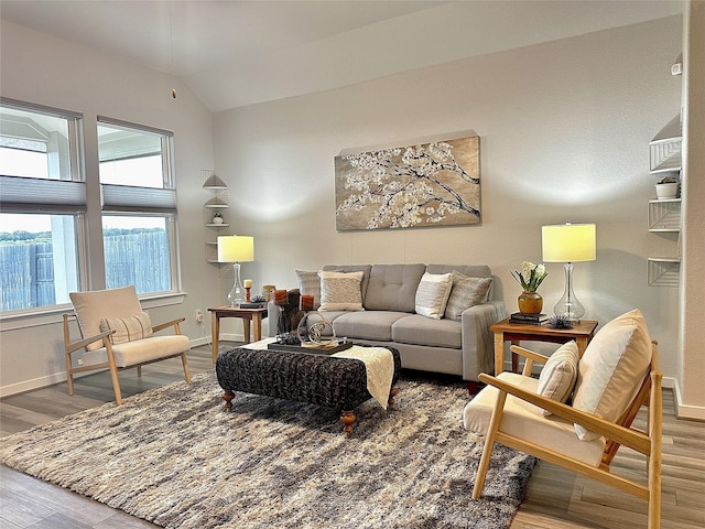 living room featuring lofted ceiling and wood-type flooring