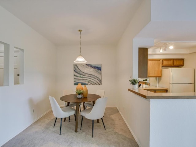 dining space with light carpet