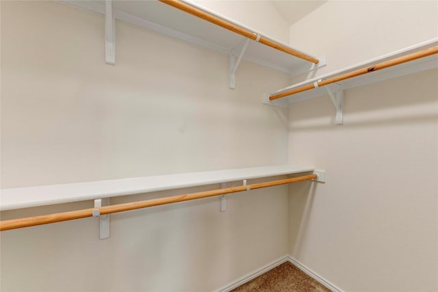228 Durata Dr, San Marcos, TX 78666 - spacious closet with carpet