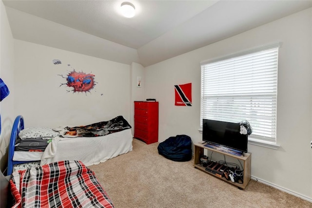 228 Durata Dr, San Marcos, TX 78666 - carpeted bedroom featuring lofted ceiling