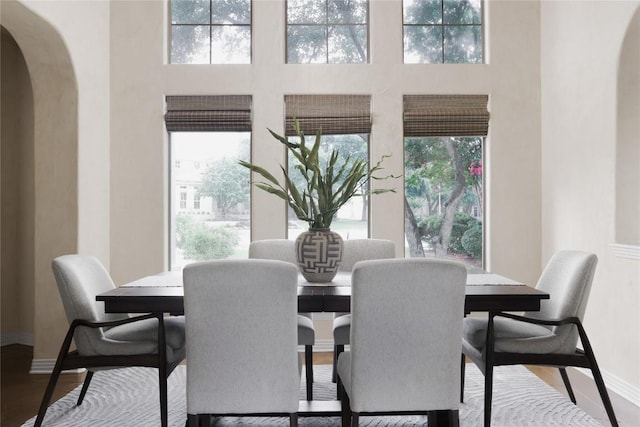 dining space featuring hardwood / wood-style flooring and a wealth of natural light