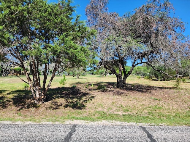 314 Coventry Dr, Spicewood, TX 78669 - photo 3