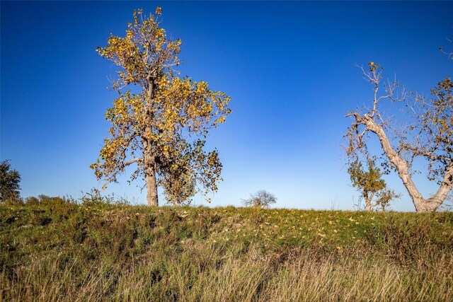 14914 Svenska Rd, Coupland, TX 78615